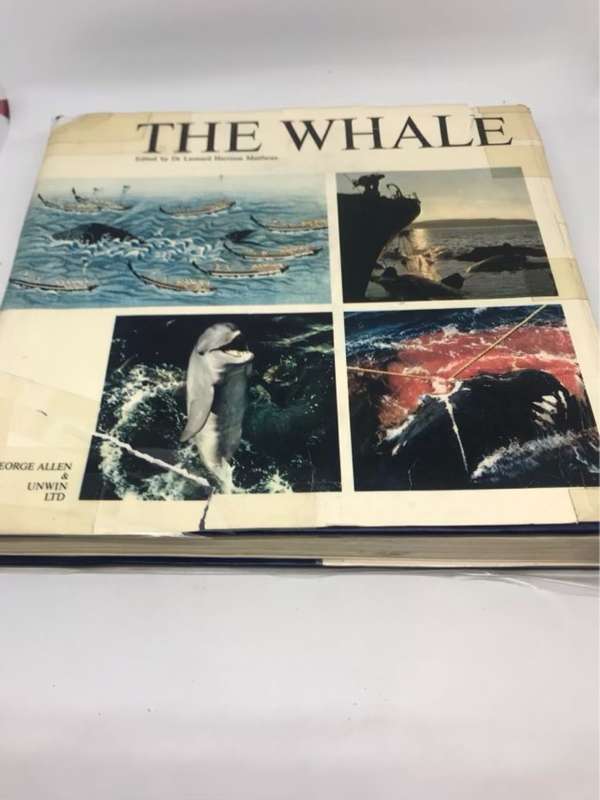The Whale - Leonard H.Matthews