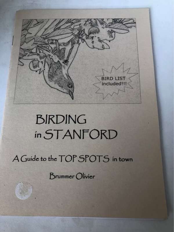 Birding in Stanford, A guide to the top spots in town - Brummer Olivier
