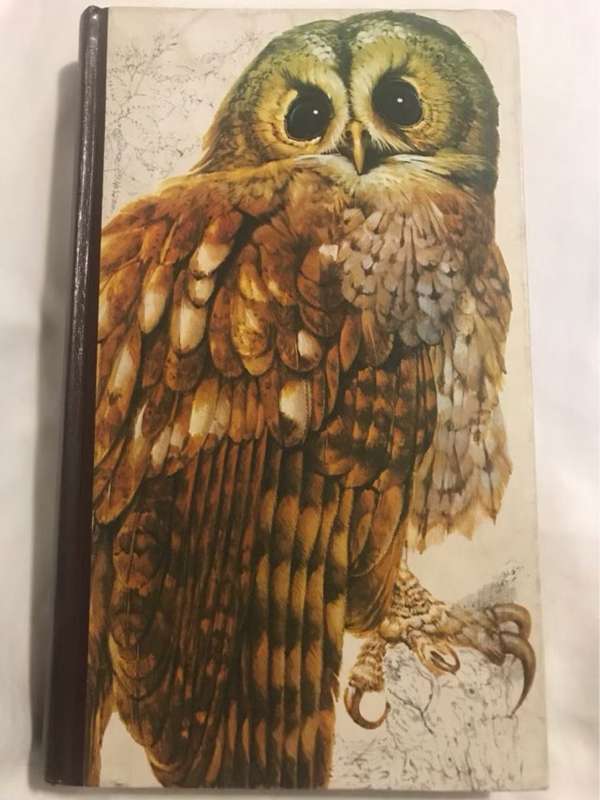 Book of British Birds - Readers Digest