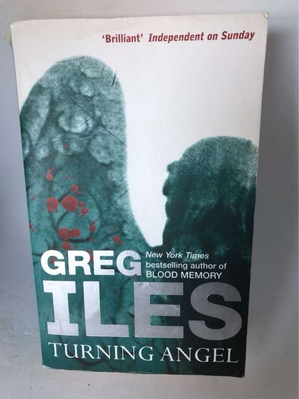 Turning Angel - Greg Iles