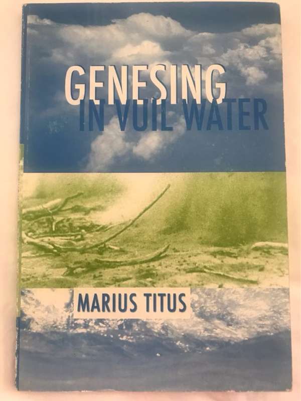 Genesing in Vuil Water *Signed* - Marius Titus