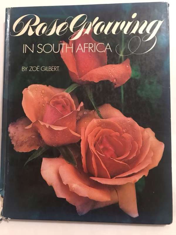 Rose Growing in South Africa - Zoe Gilbert