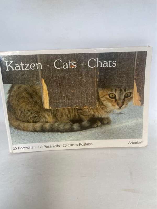 Katzen Cats Chats - Artcolor