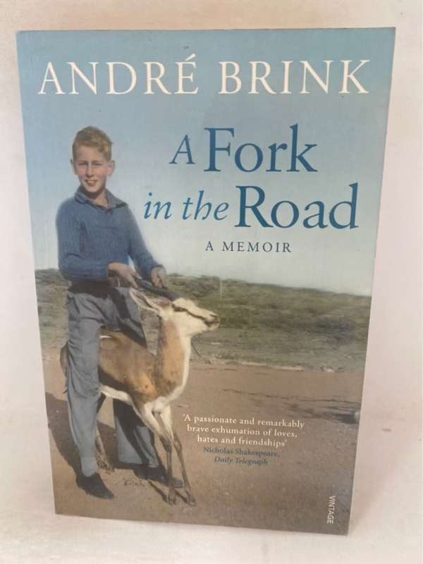 A Fork in the Road - Andre Brink,Andr?? Brink