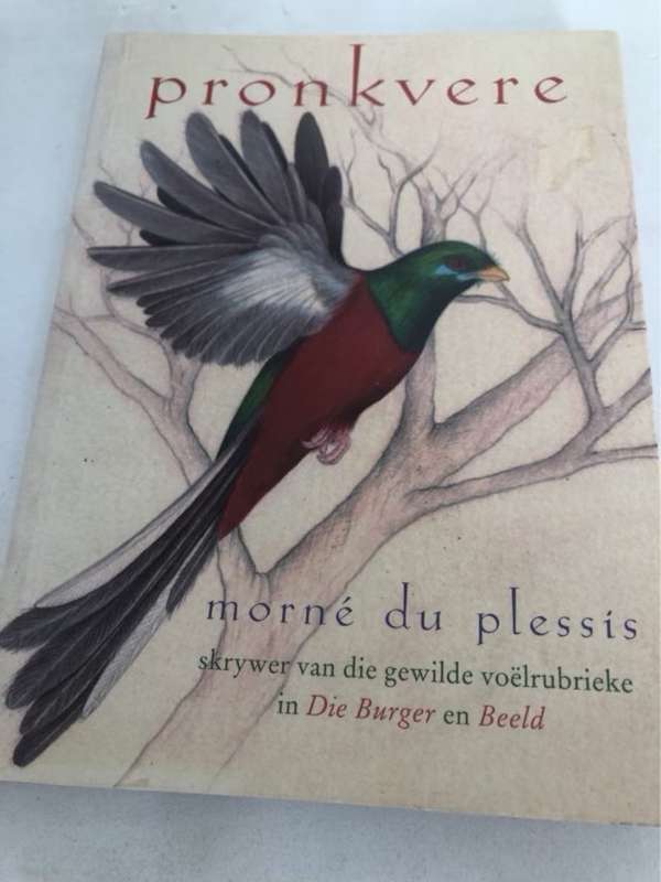 Pronkvere - Morne Du Plessis