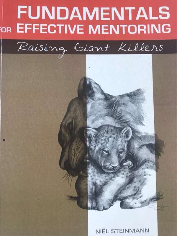 Fundamentals for Effective Mentoring - Niel Steinmann
