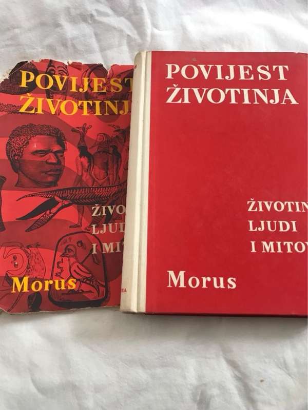 Povijest Zivotinja - Morus