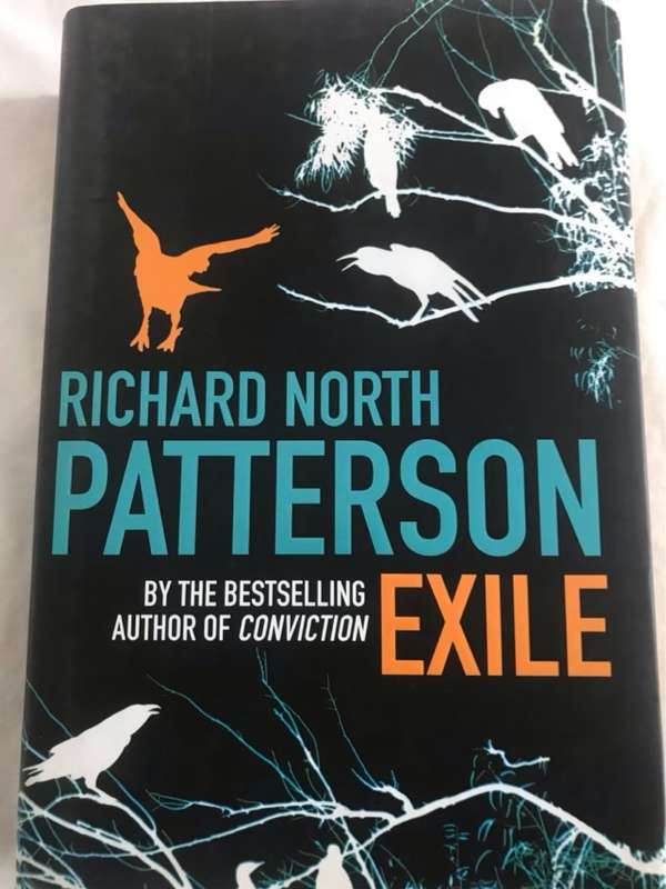 Exile - Richard North Patterson