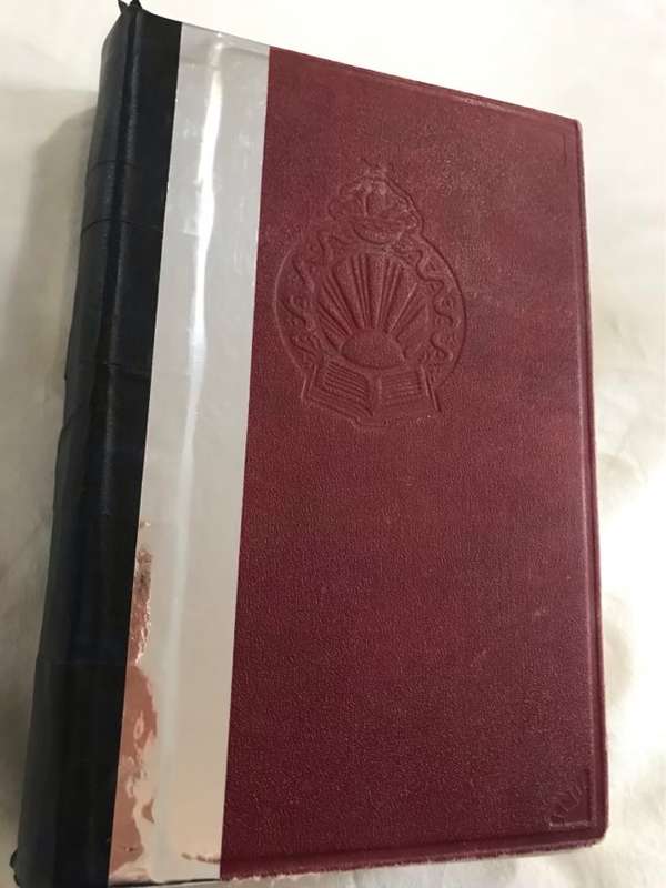 The Universal Home Doctor, Illustrated - Odhams Press