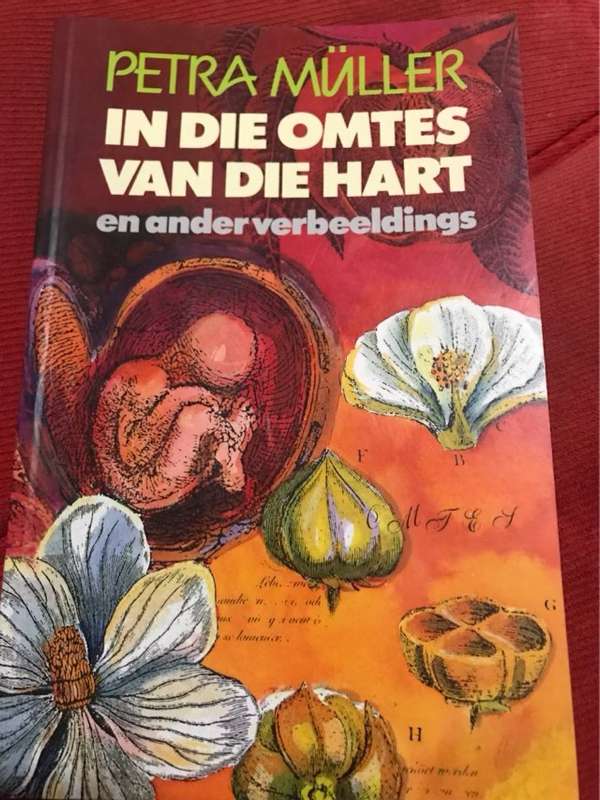 In die omtes van die hart en ander verbeeldings - Petra Mller