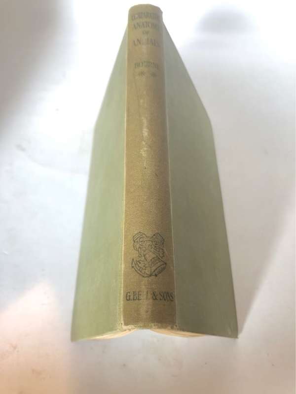 Comparative Anatomy of Animals, Volume 2  1922, An introduction to the study - Gilbert C.Bourne