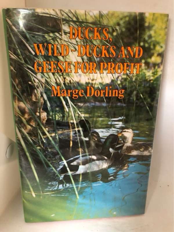 Ducks,Wild-Ducks and Geese For Profit - Marge Dorling