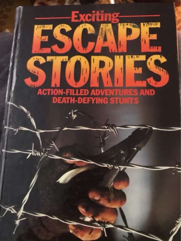 Escape Stories - Elizabeth Bland Ed.