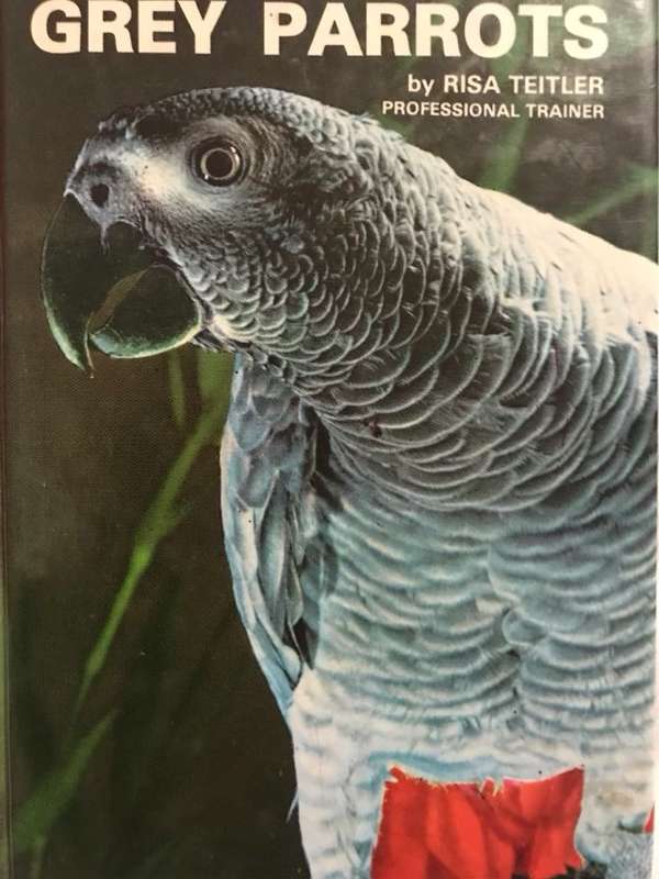 Training African Grey Parrots - Risa Teitler