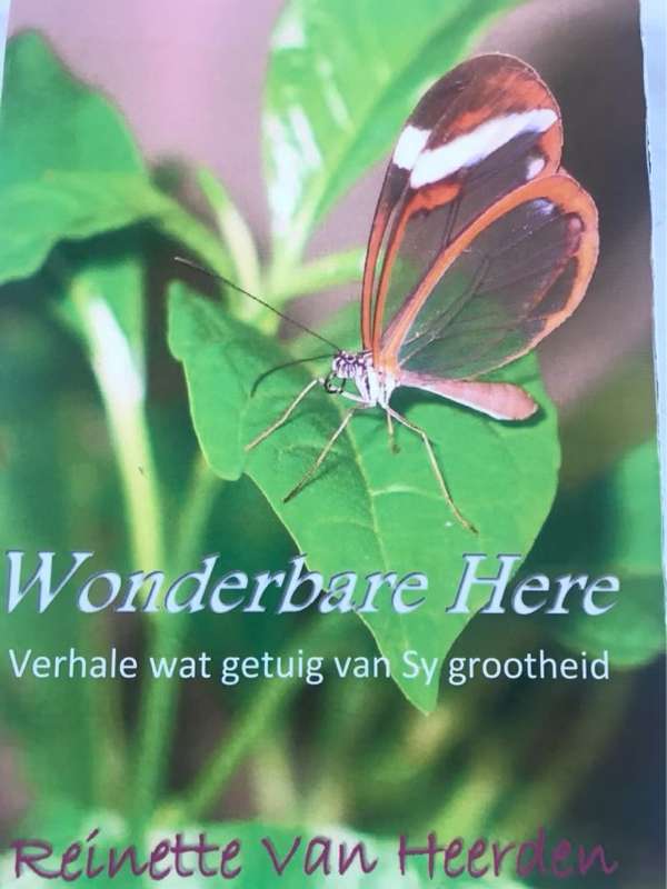 Wonderbare Here, verhale wat getuig van Sy grootheid - Reinette Van Heerden