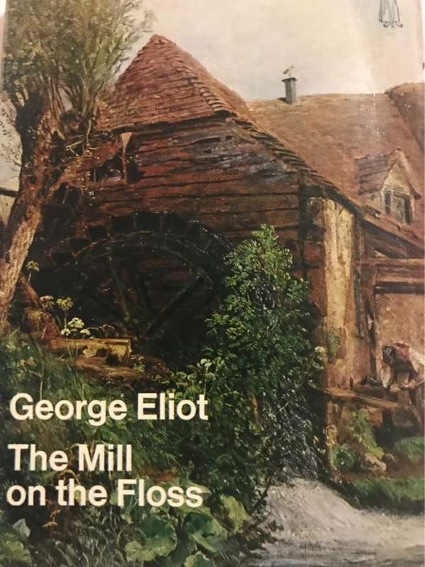 The Mill on the Floss - George Eliot