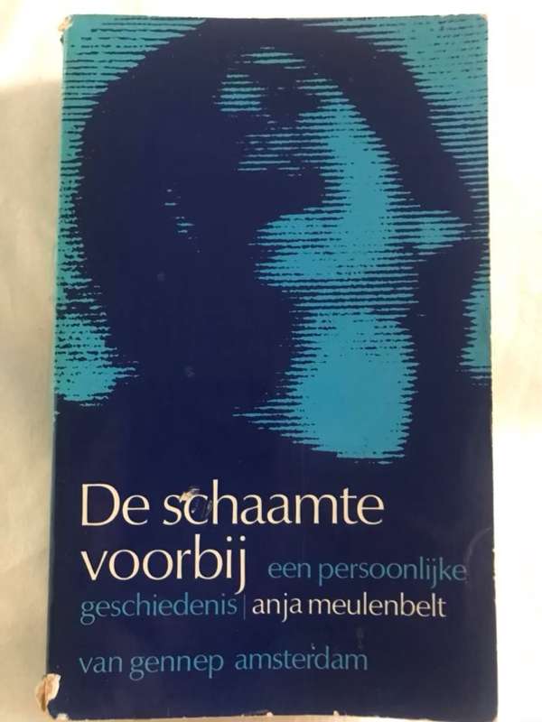 De Schaamte Voorbij - Anja Meulenbelt