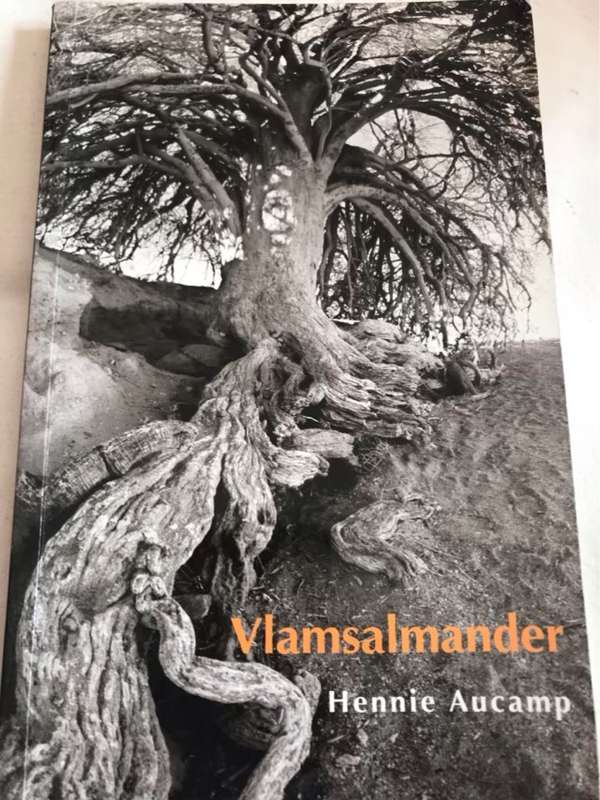 Vlamsalmander - Hennie Aucamp