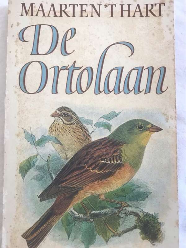 De Ortolaan - Maarten't Hart