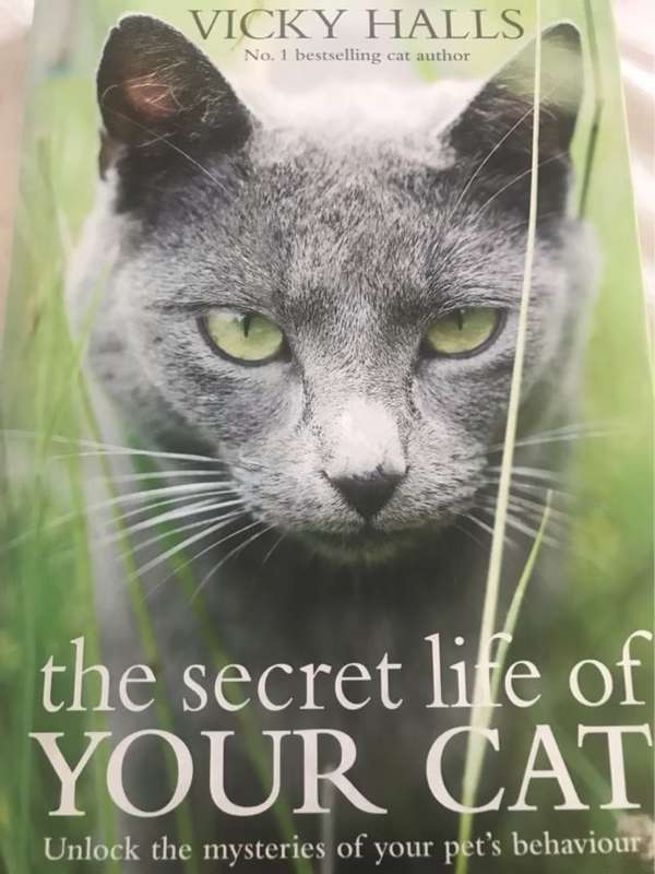 The Secret Life of Your Cat, The Visual Guide to All Your Cat's Behaviour - Vicky Halls