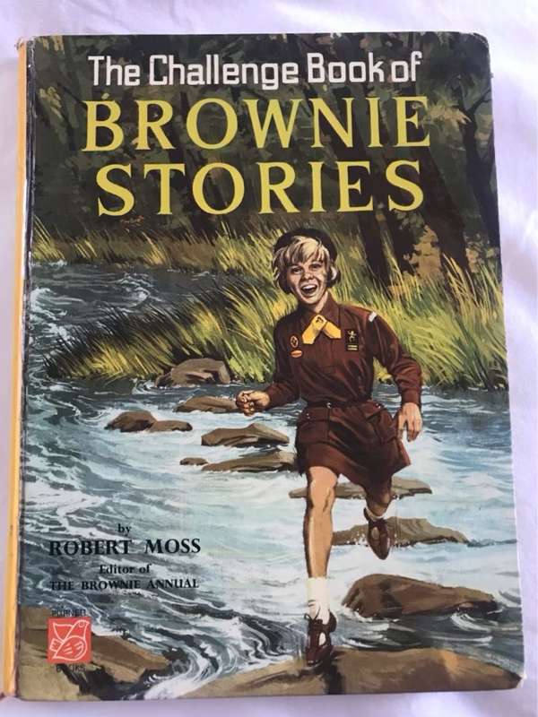 The Challenge Book of Brownie Stories - Robert Moss