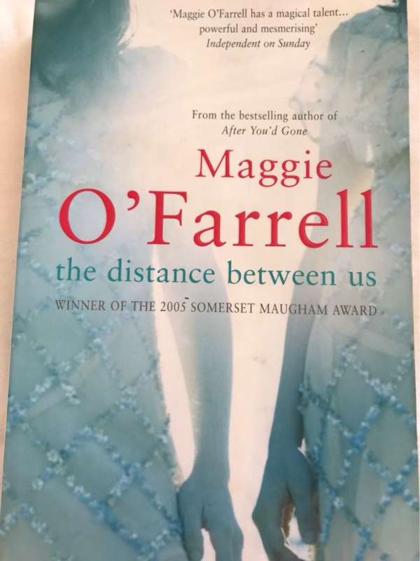 Distance Between Us - Maggie O'Farrell