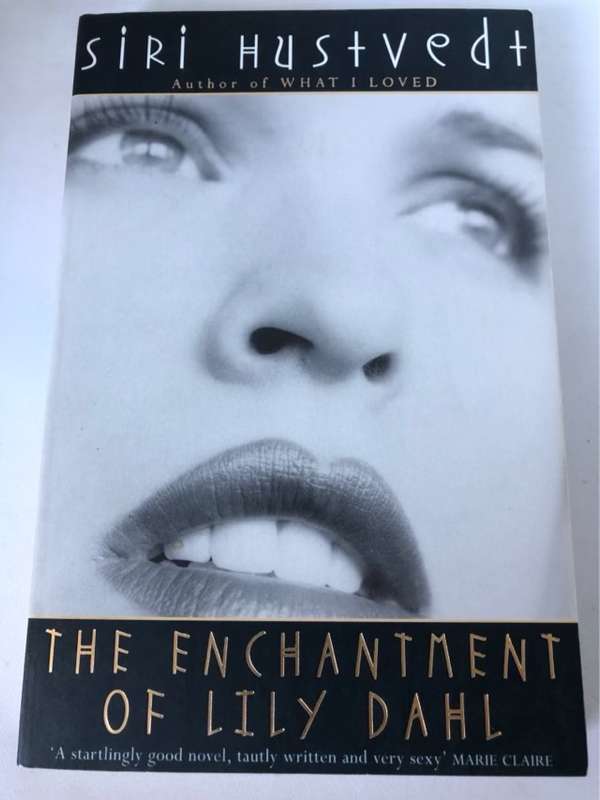 The Enchantment of Lily Dahl - Siri Hustvedt