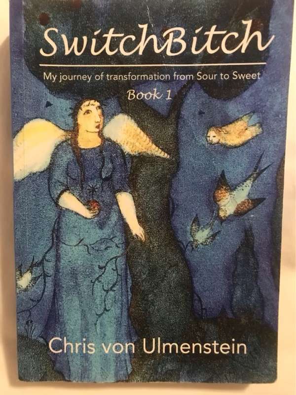 Switchbitch Book 1 - Chris Von Ulmenstein