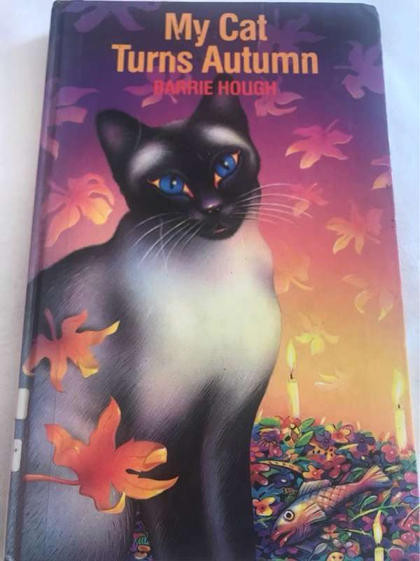My cat turns autumn - Barrie Hough