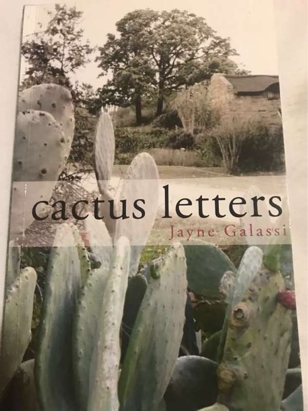 Cactus letters - Jayne Galassi