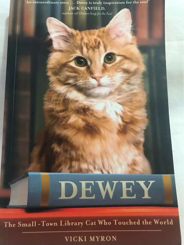 Dewey : the small-town library-cat who touched the world - Vicki Myron