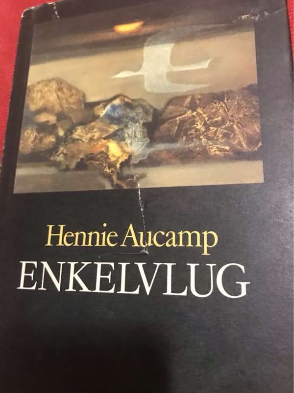 Enkelvlug - Hennie Aucamp