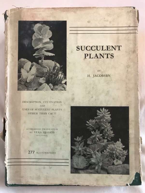 Succulent Plants - H.Jacobsen