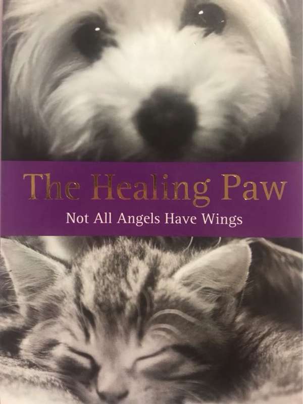 The Healing Paw, Not All Angels Have Wings - Billy Roberts