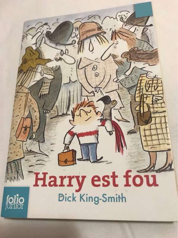 Harry est fou - Dick King-Smith