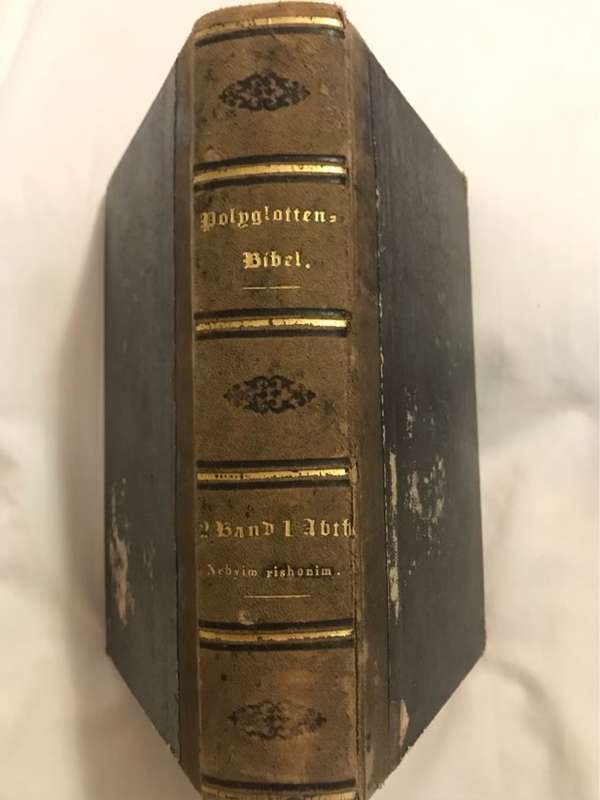Polyglotten Bibel - H.Stier und Theile
