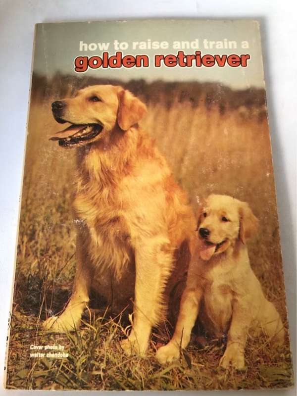 Golden RetrieverHow to raise and train - Evelyn Miller