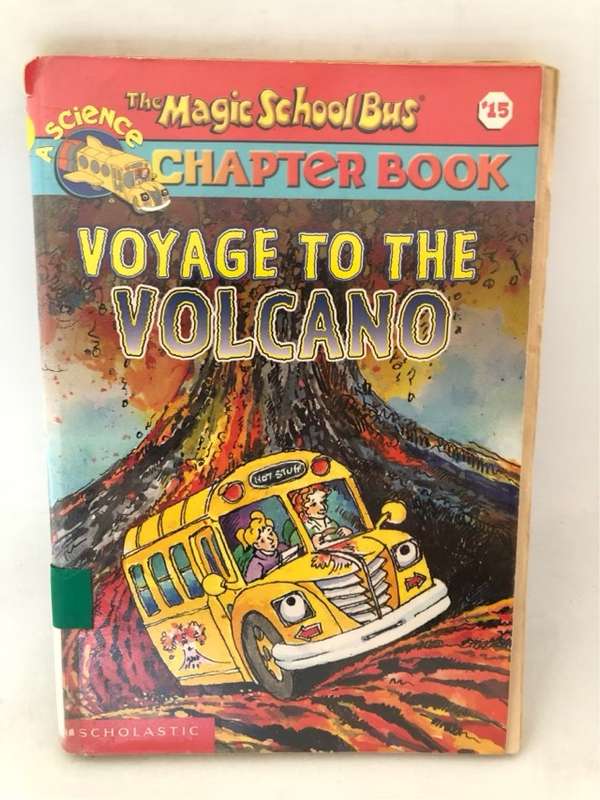 Voyage to the Volcano - Judith Bauer Stamper