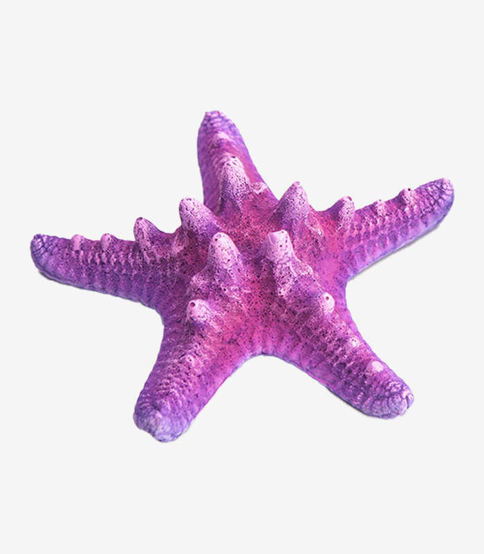 Pink Sea Star Aquarium Decoration | Colorful Fish Tank Ornament (10cm)