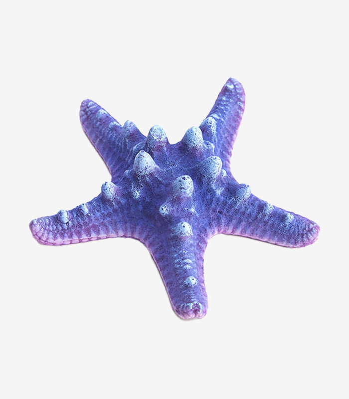 Bubblegum Sea Star Aquarium Decoration | Whimsical Fish Tank Ornament (10cm)