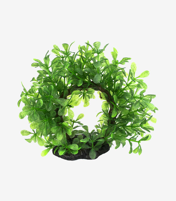 Ring of Greenery Aquarium Decoration | Lush Plant Fish Tank Ornament (15cm)