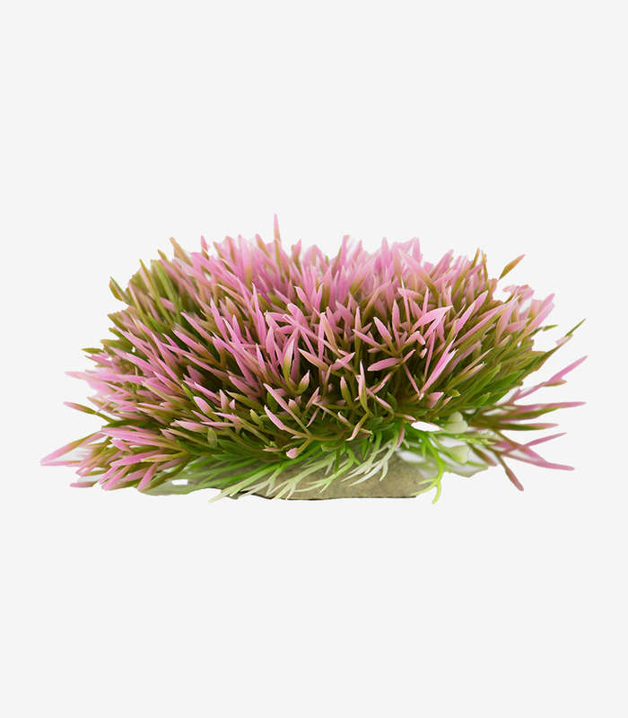 Rosy Shrub Aquarium Decoration | Zugo | Pink Fish Tank Plant Ornament (14cm)
