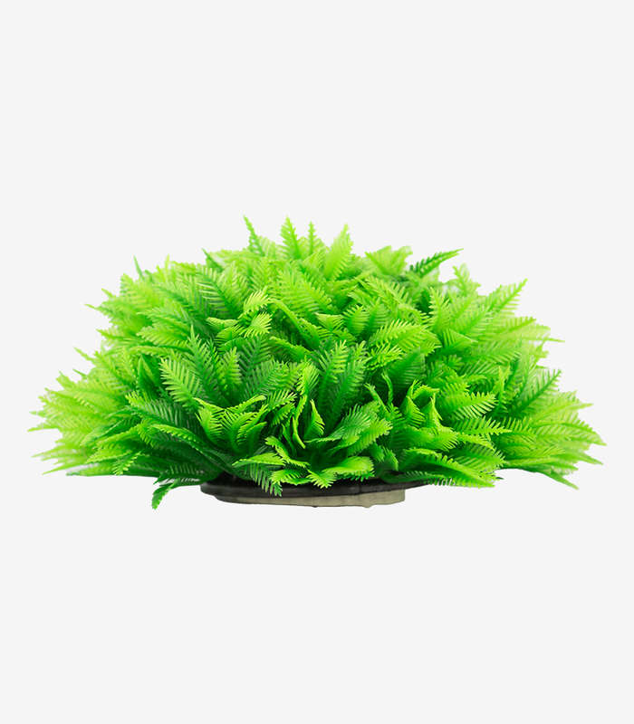 Ferny Green Shrub Aquarium Decoration | Realistic Fish Tank Plant Ornament (17cm)