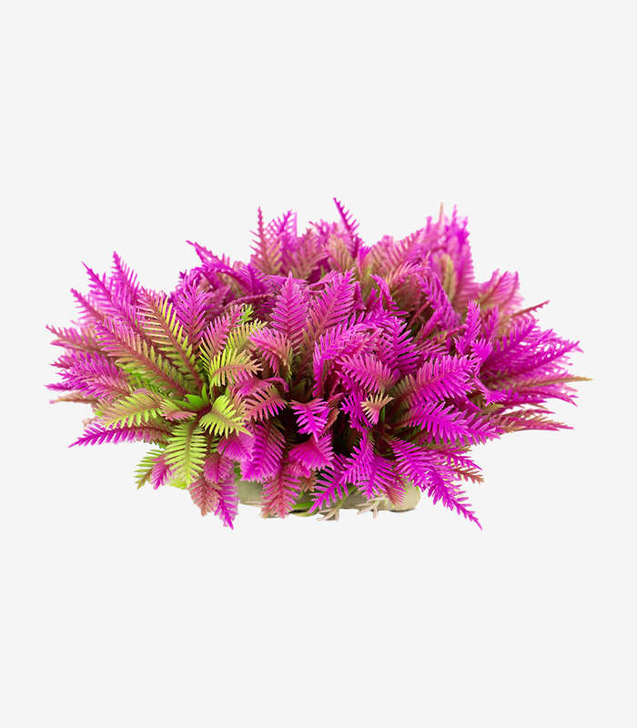 Ferny Pink Shrub Aquarium Decoration | Lifelike Fish Tank Plant Ornament (14cm)