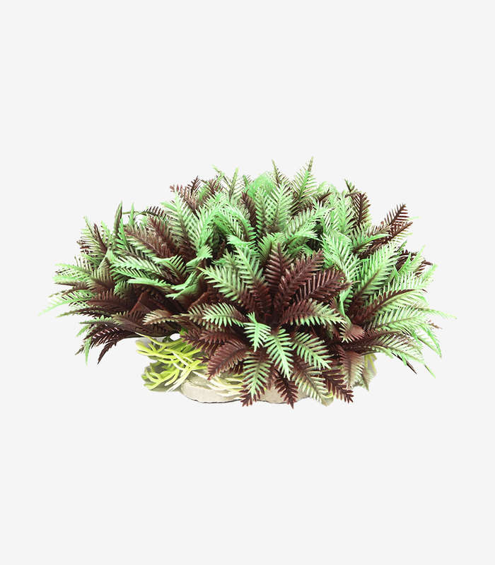 Peppermint Bush Aquarium Decoration | Lifelike Fish Tank Plant (14cm)