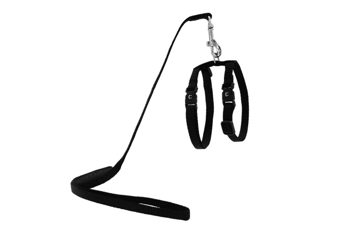 Doco Cat Harness & Leash - Black