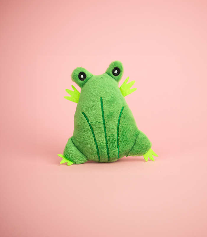 Frog Plush Catnip Toy - Cat Toy