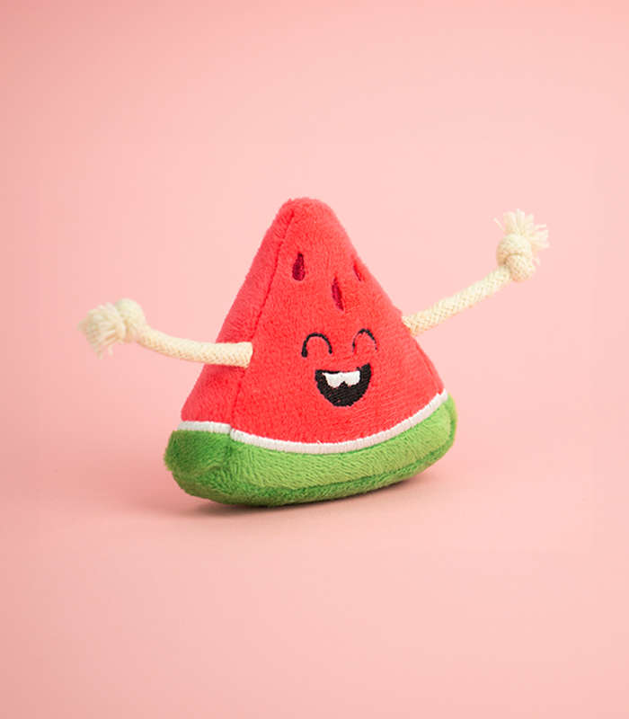 Watermelon Plush Catnip & Sound Toy - Cat Toy