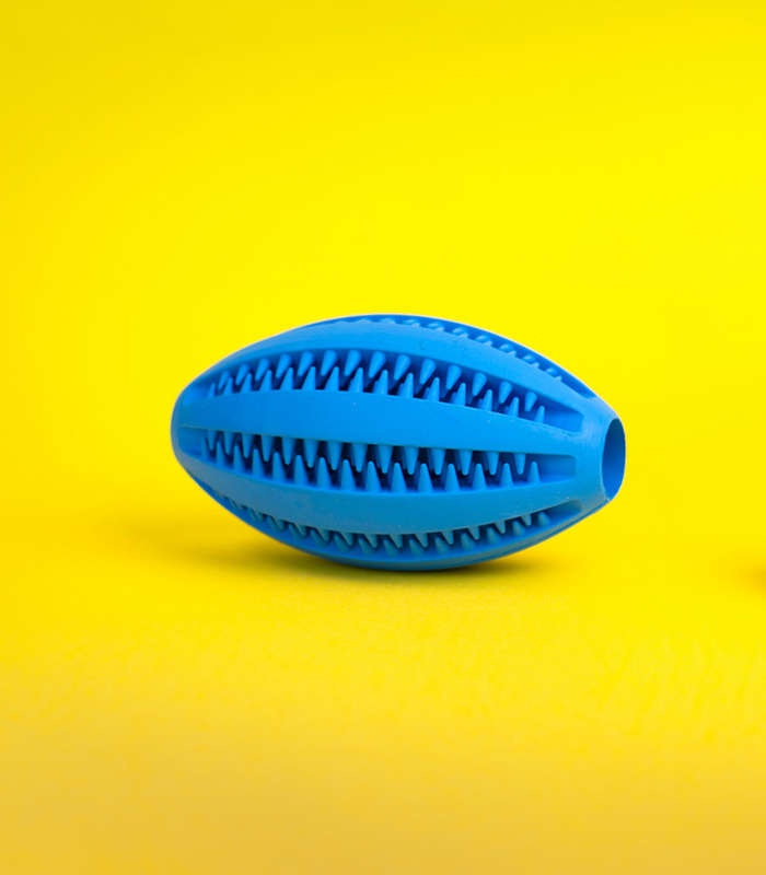 Molar Sphere Rubber Dog Toy | Dental Health & Chew Toy