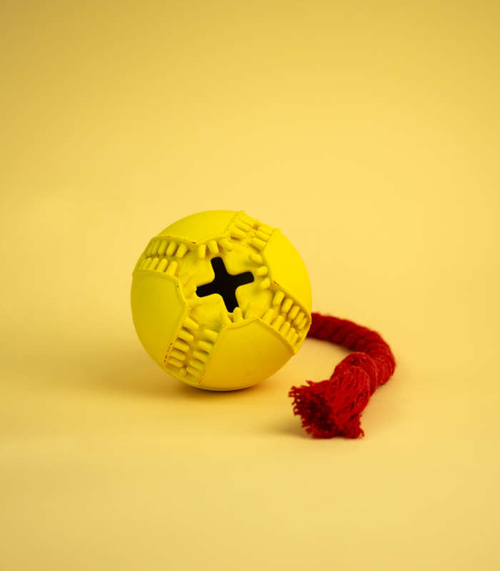 Tugball Rubber Dog Toy | Ball & Tug Interactive Play Toy